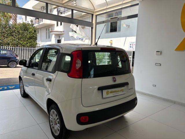FIAT Panda 1.0 FireFly S&S Hybrid da ?119,00 mensili
