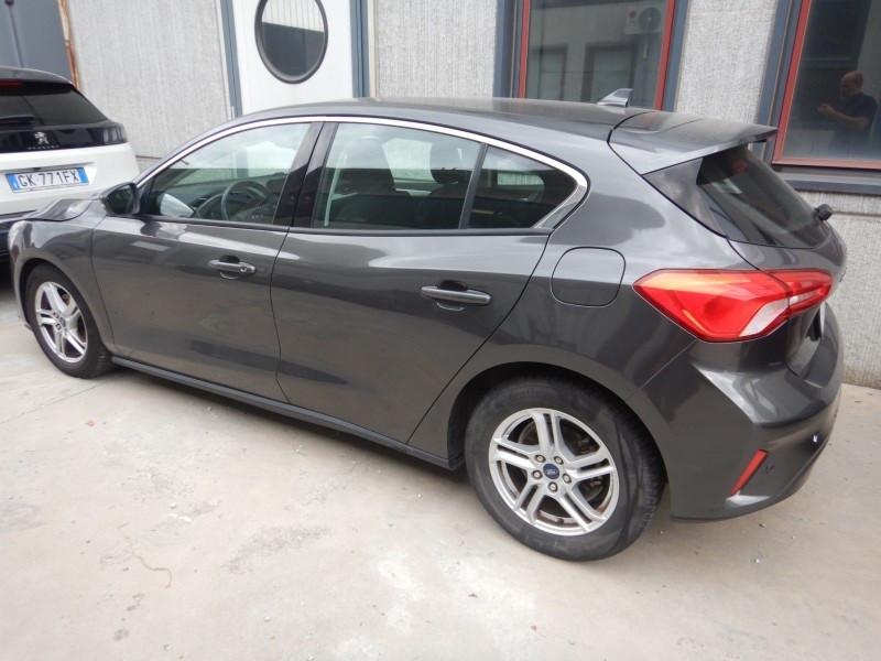 Ford Focus 1.5 EcoBlue 120 CV 5p. Business