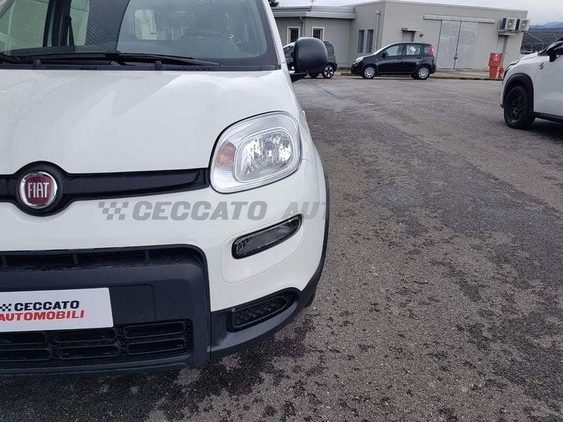 FIAT Panda Panda 1.0 70cv Hybrid Panda