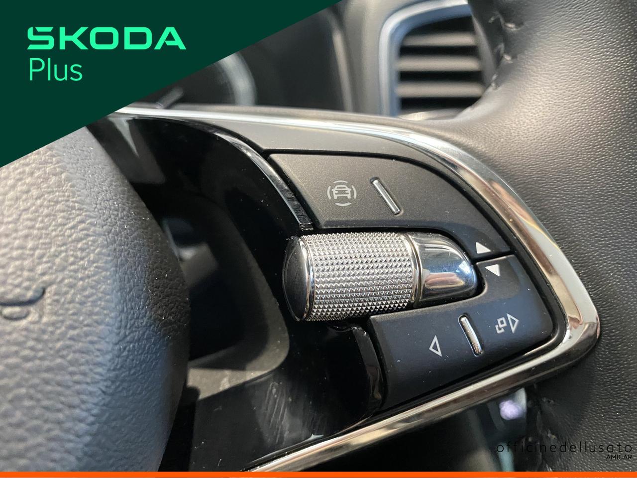 Skoda Karoq 2.0 tdi evo scr 115cv executive