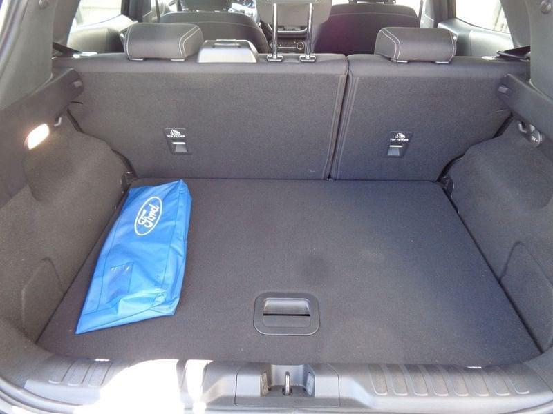 Ford Puma Puma 1.0 ecoboost h Titanium s&s 125cv