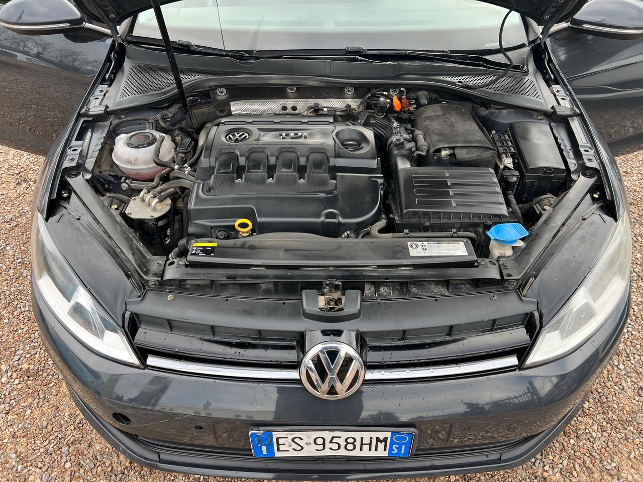 Volkswagen Golf 1.6 TDI 90 CV 5p. Tech&Sound BlueMotion Technology
