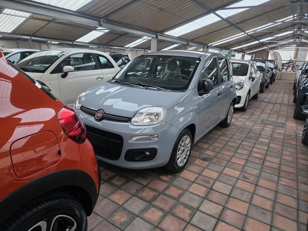 AUTO IN ARRIVO Fiat Panda 1.0 FireFly S&S Hybrid