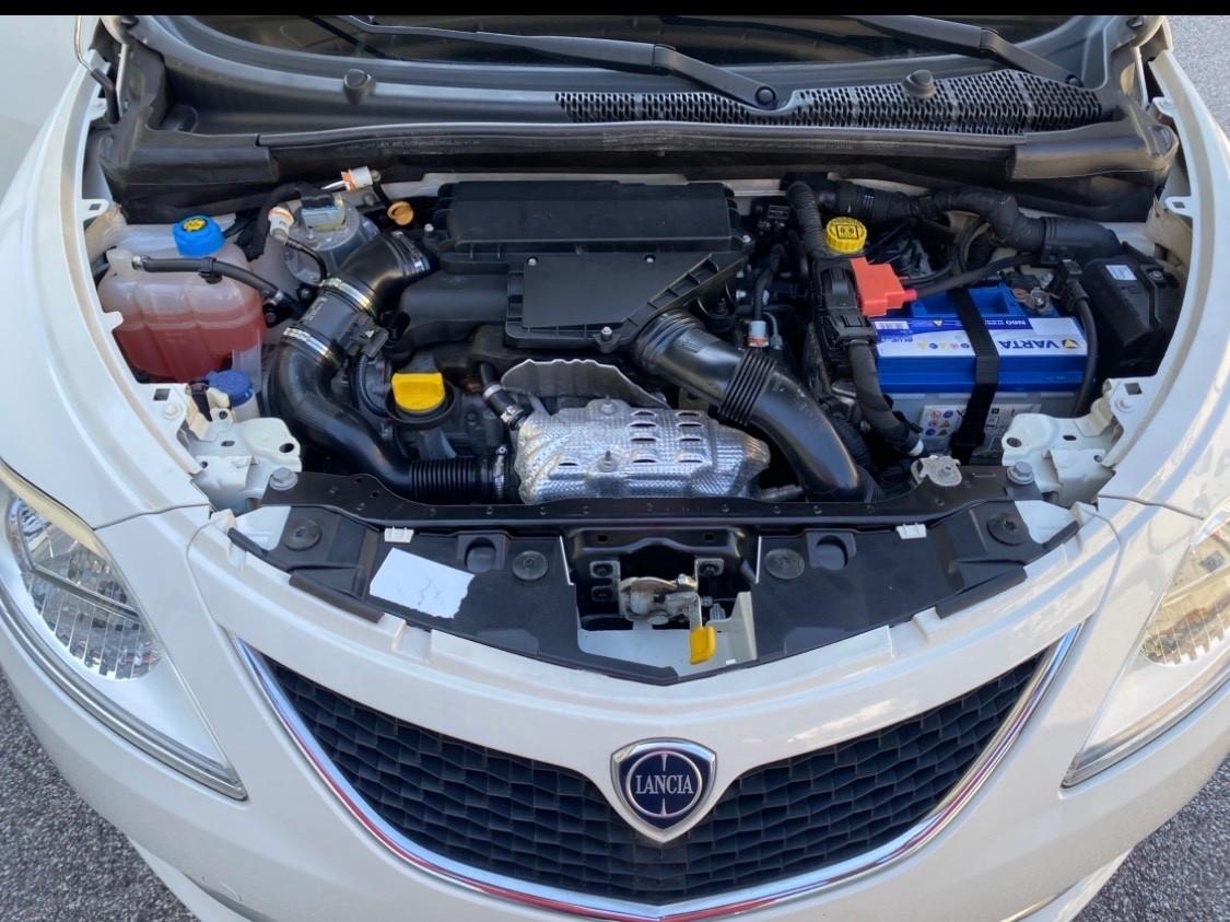 Lancia Ypsilon 1.3 MJT 16V 95 CV 5 porte Platinum