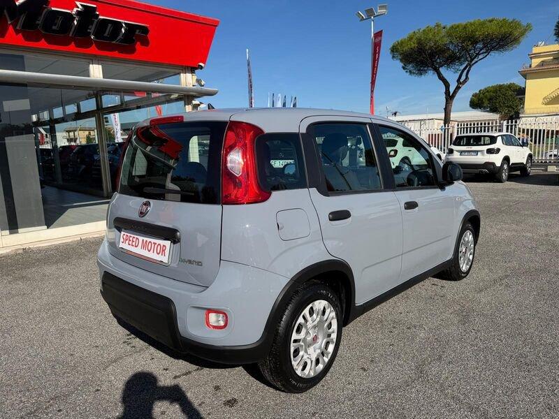 FIAT Panda Panda 1.0 firefly hybrid 70cv, CARPLAY, PRONTA CONSEGNA!