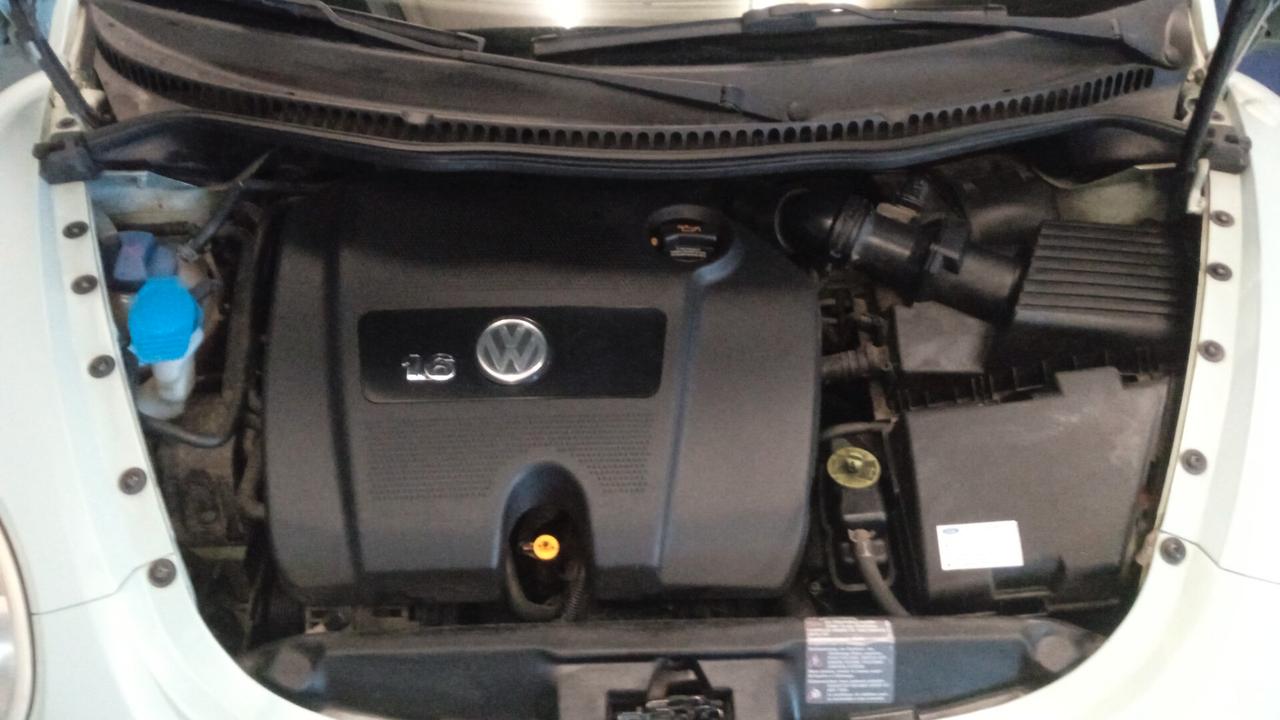 Volkswagen New Beetle 1.6 Cabrio ASI azzurro Tiffany no bollo