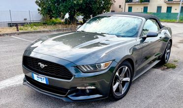 Ford Mustang America