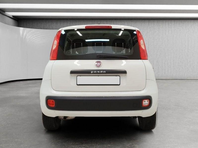 FIAT Panda 1.2 Easy s&s 69cv my19