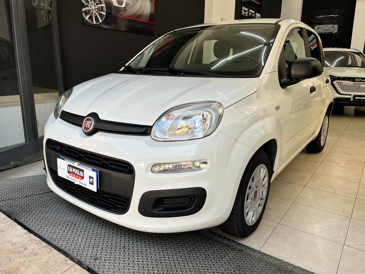 Fiat Panda 1.2 Easy KM 63.800 - 2019