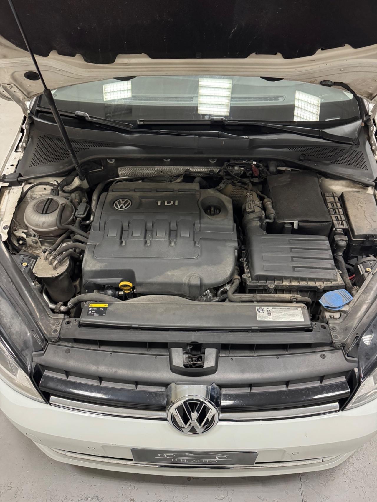 Volkswagen Golf 1.6 TDI 110 CV 5p. Highline BlueMotion Technology