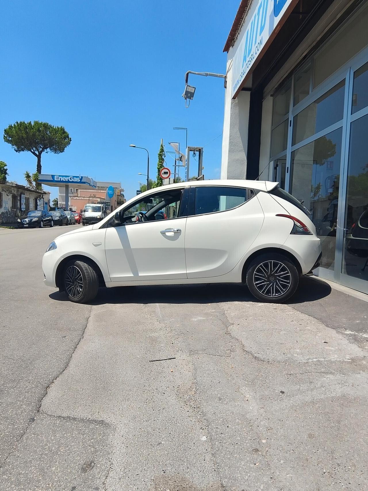 Lancia Ypsilon 1.2 69 CV 5 porte S&S Platinum