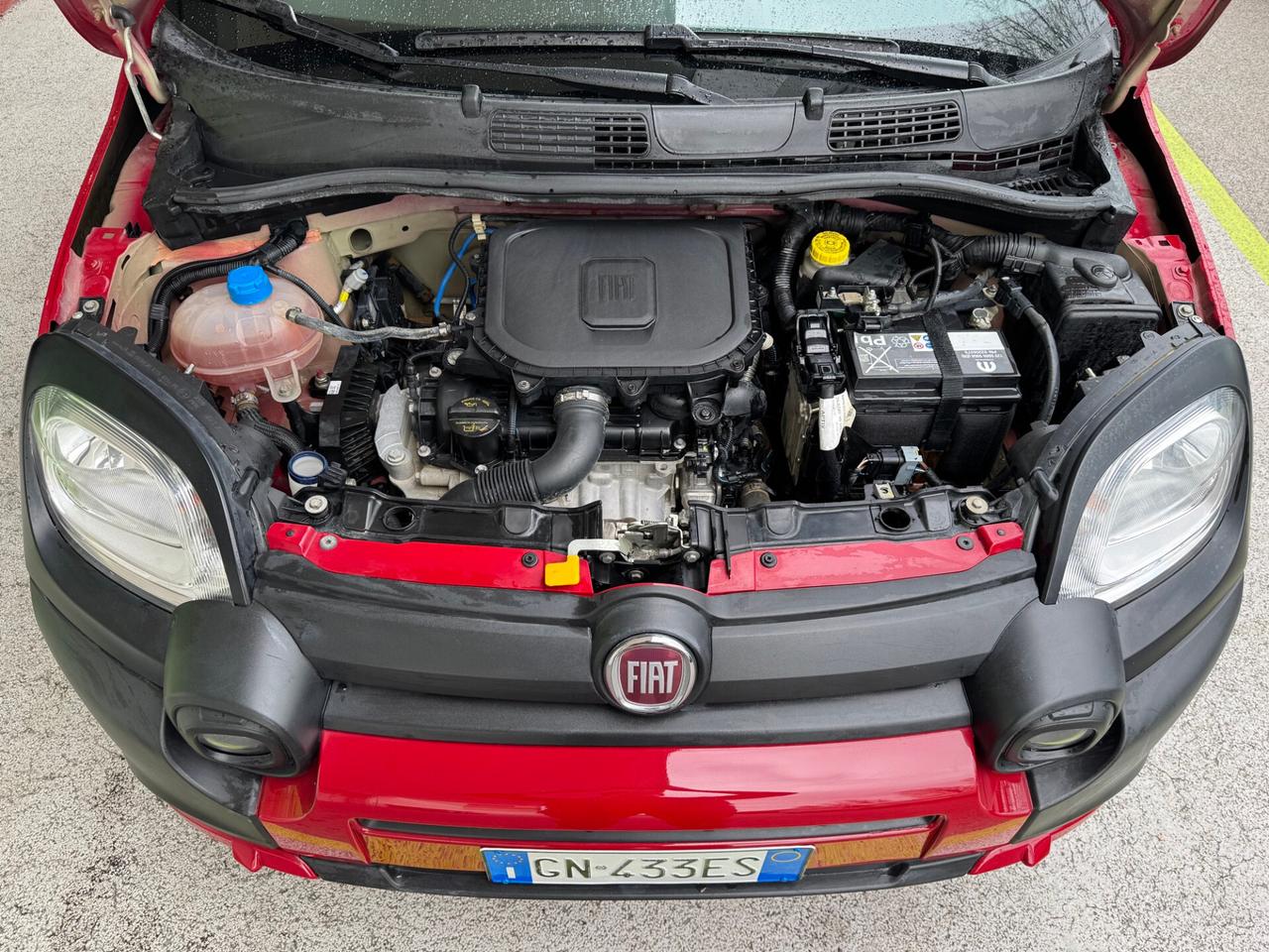 Fiat Panda Cross 1.0 firefly hybrid GARANZIA36MESI