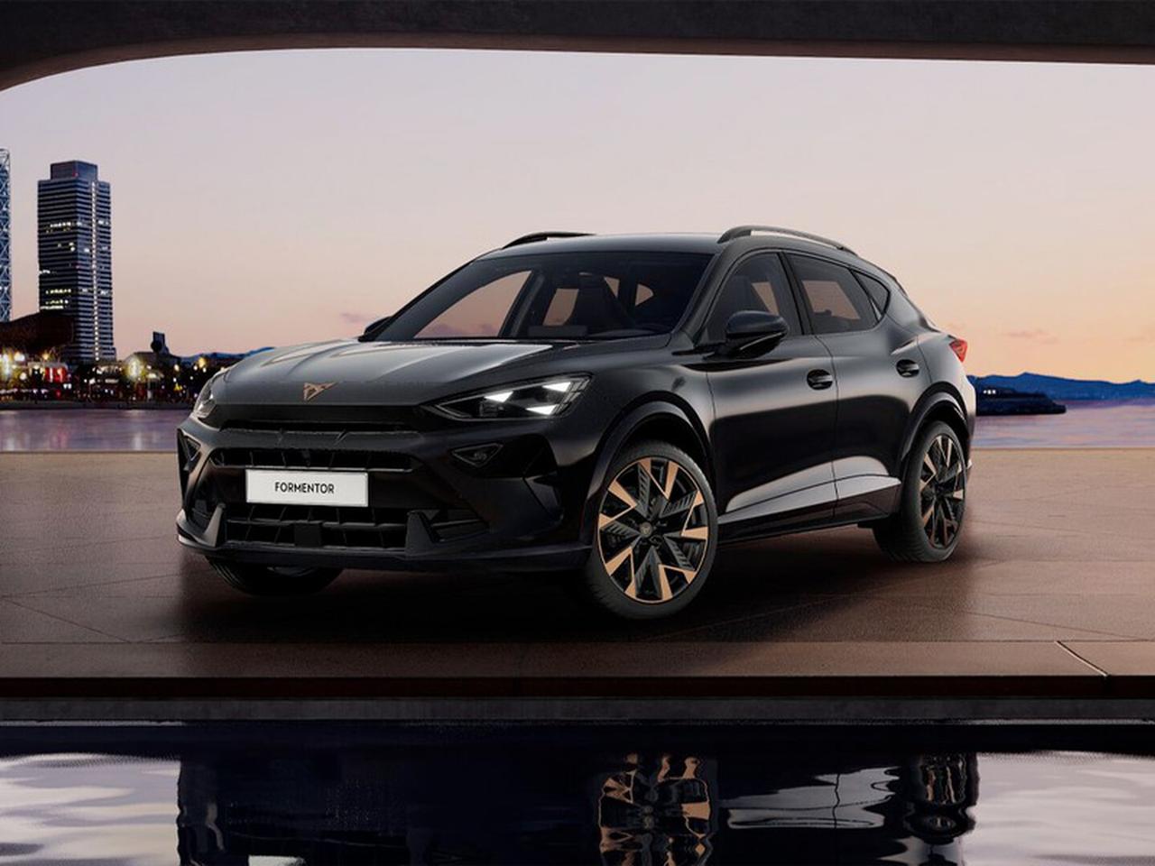 Cupra Formentor 2.0 tdi 150cv dsg