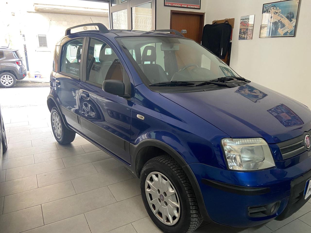 Fiat Panda 4x4 1.2 Benzina