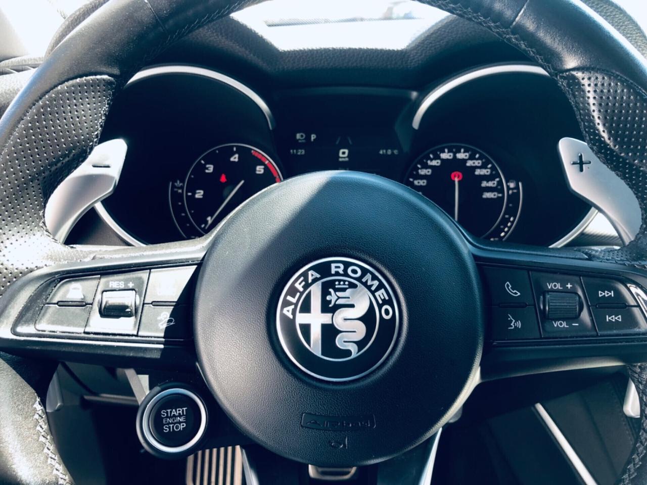 Alfa Romeo Stelvio 190CV Q4 PALETTE PELLE-TELECAM