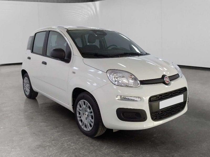 FIAT Pandina 1.0 firefly hybrid Icon s&s 70cv 5p.ti