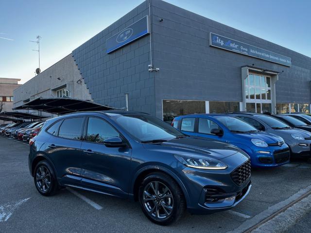 FORD Kuga 2.0 EcoBlue 120 CV aut. ST-Line