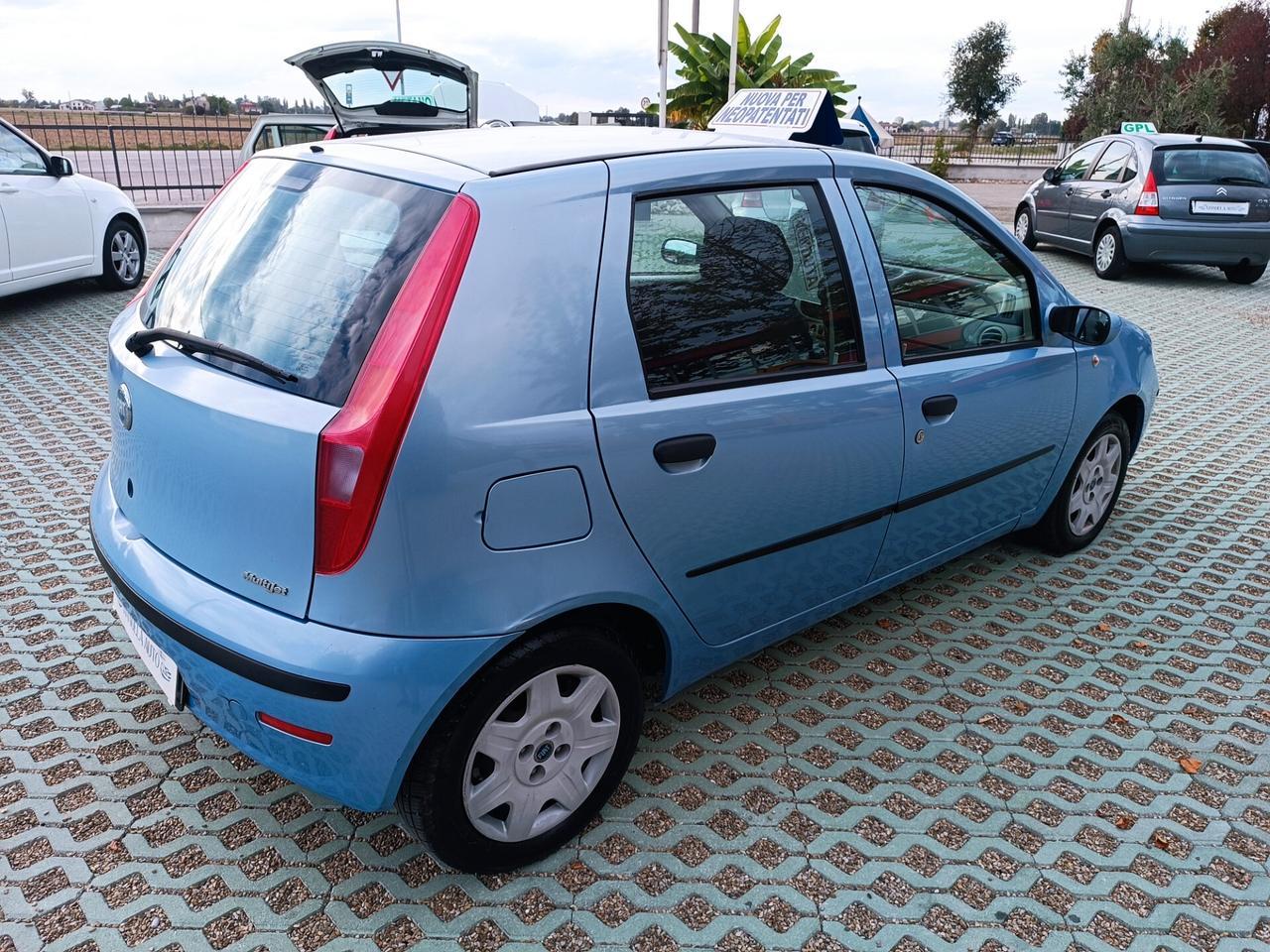 Fiat Punto 1.3 Multijet 16V 5 porte Active