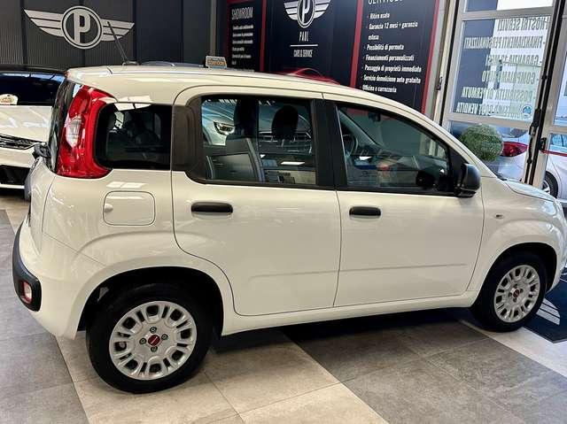 Fiat Panda Panda 1.2 Easy s