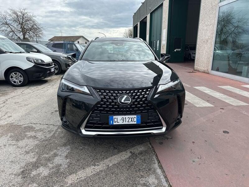 Lexus UX UX HYBRID Business 2WD