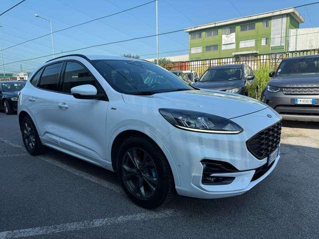 Ford Kuga 1.5 ecoblue ST-Line 2wd 120cv auto
