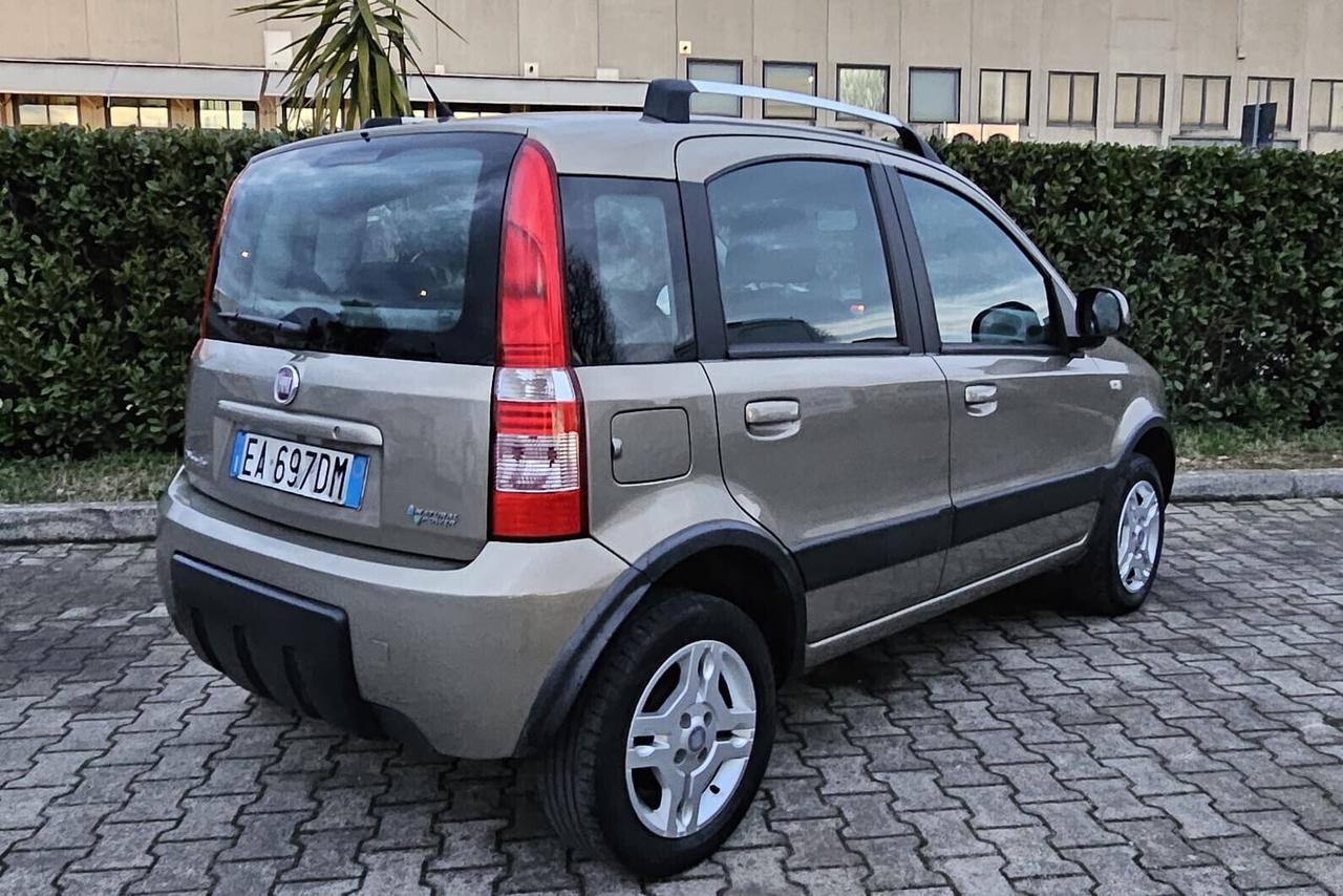 Fiat Panda 1.2 44KW Climbing Natural Power