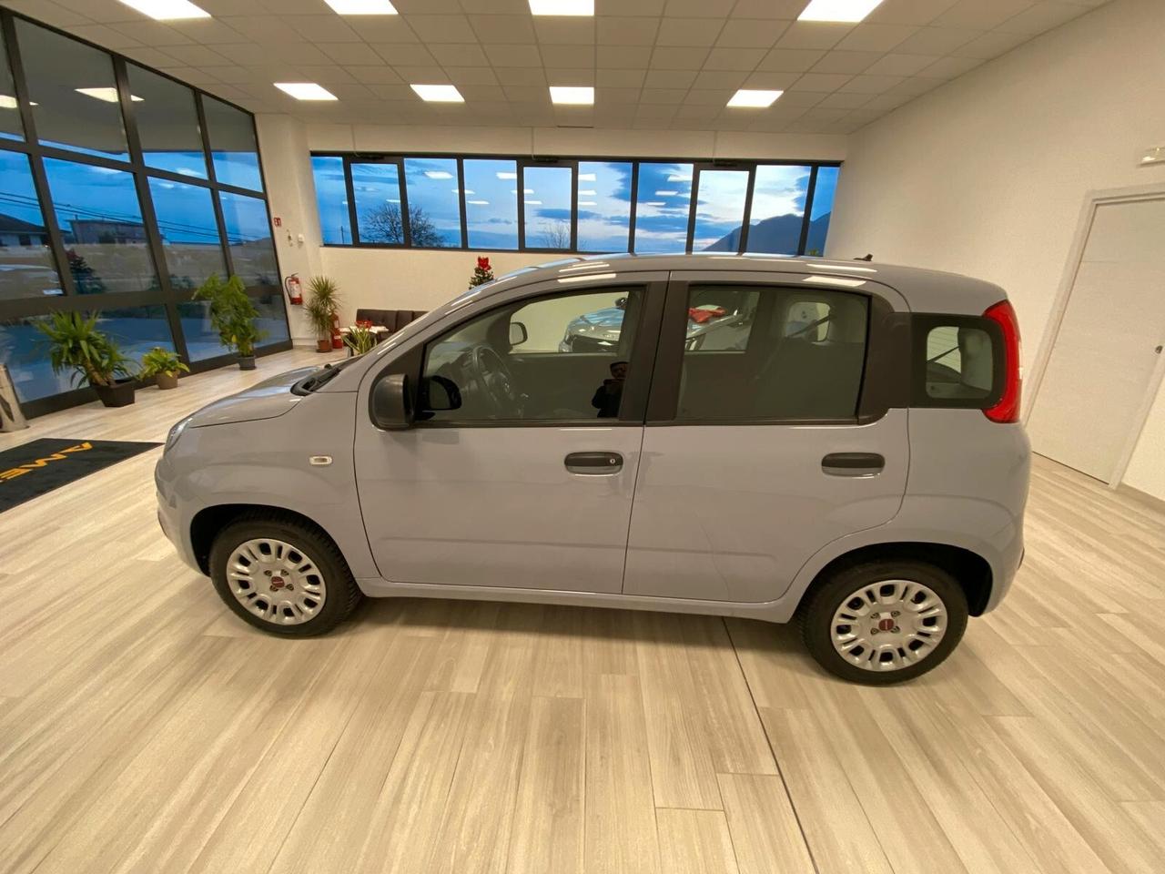 Fiat Panda 1.2 Easy Paro al nuovo