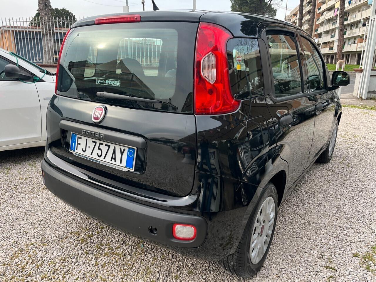 Fiat Panda 1.2 BENZINA KM CERTIFICATI 1 PROPRIETARIO 2017