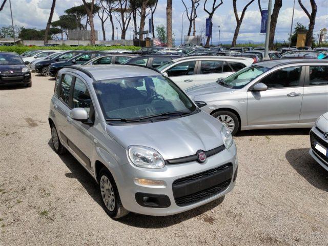 FIAT Panda 1.2 Lounge OK NEOPATENT. CLIMA,FENDINEBBIA ..