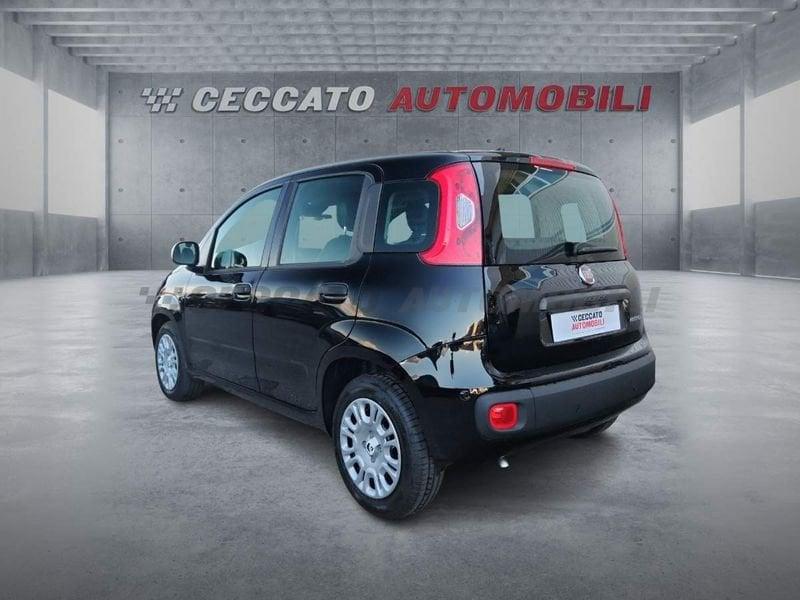 FIAT Panda Panda 1.0 70cv Hybrid Icon