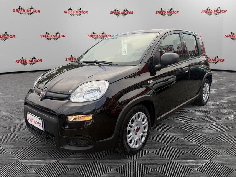 FIAT Panda Panda 1.0 firefly hybrid 70cv 5 POSTI, SENSORI PARCHEGGIO!