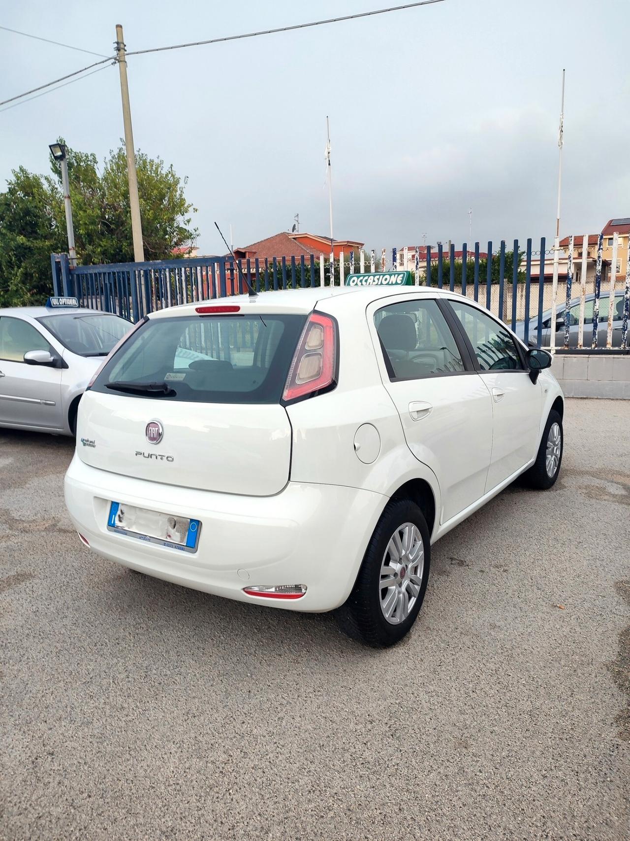 Fiat Punto 1.4 5 porte Natural Power Lounge 77cv