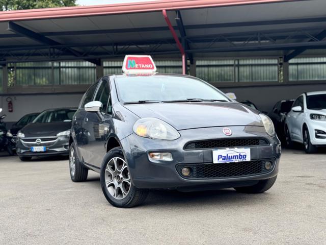 FIAT Punto 1.4 8V 5 porte Natural Power Lounge