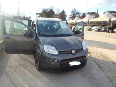 Fiat Panda 1.0 FireFly S&S Hybrid Red