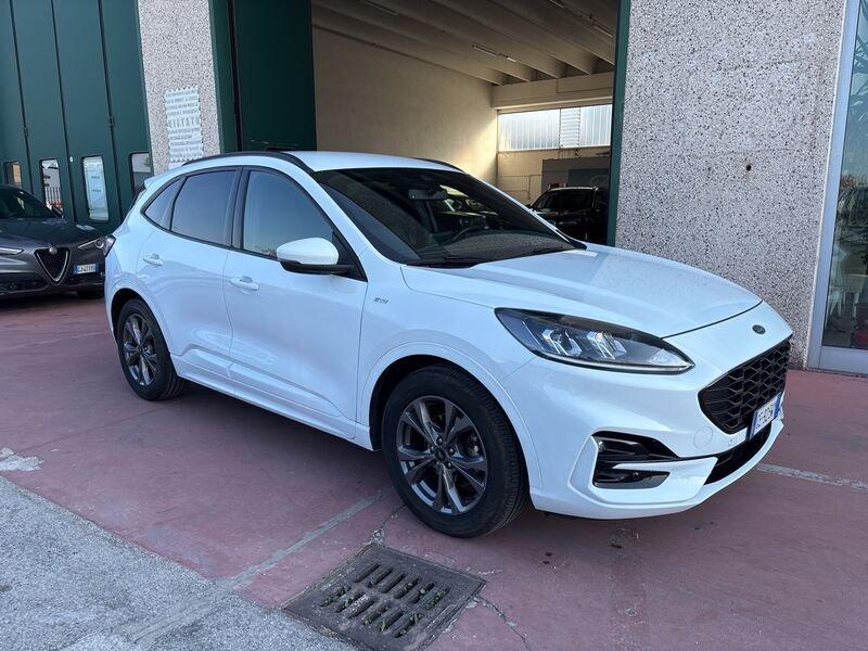 Ford Kuga Kuga 1.5 EcoBlue 120 CV aut. 2WD ST-Line