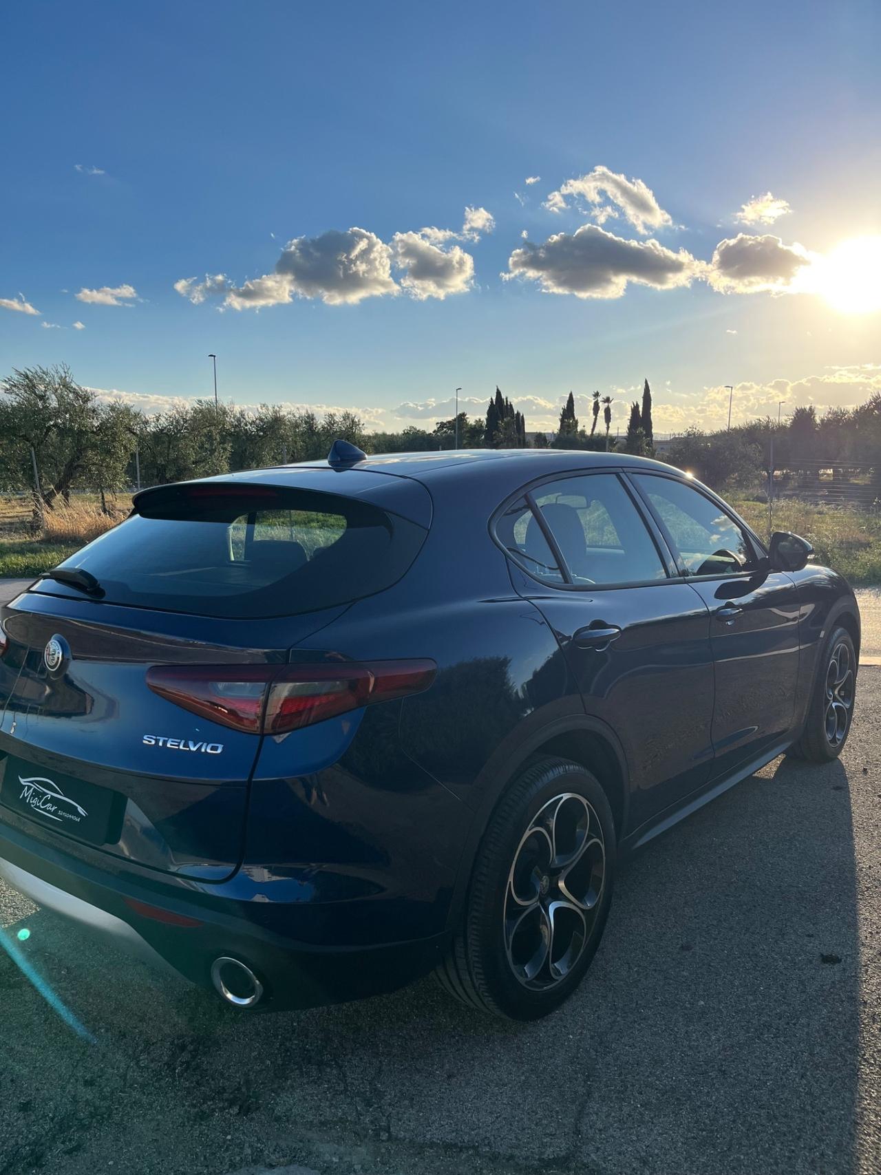 Alfa Romeo Stelvio 2.2 executive 190cv IVA ESPOSTA