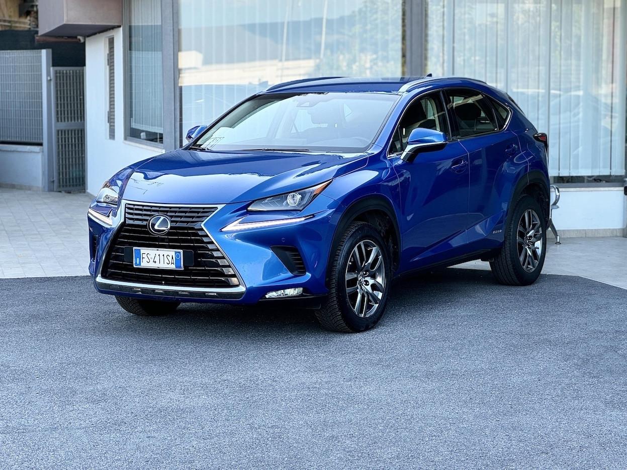 Lexus NX 300h 2.5 Hybrid 155CV E6 4WD Automatica - 2018