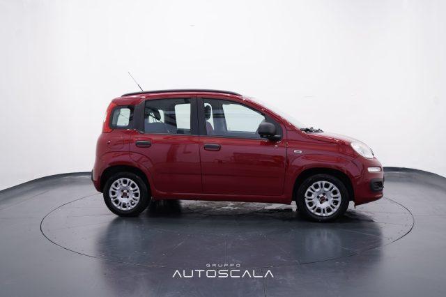 FIAT Panda 1.2 69cv Easy