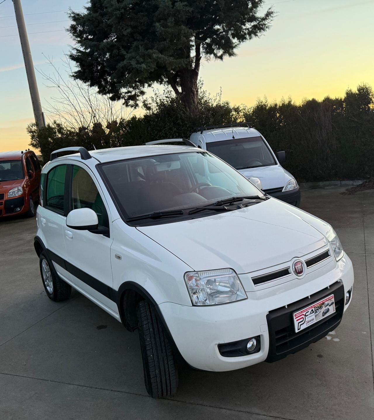 Fiat Panda 1.3 MJT 16V DPF 4x4 Climbing