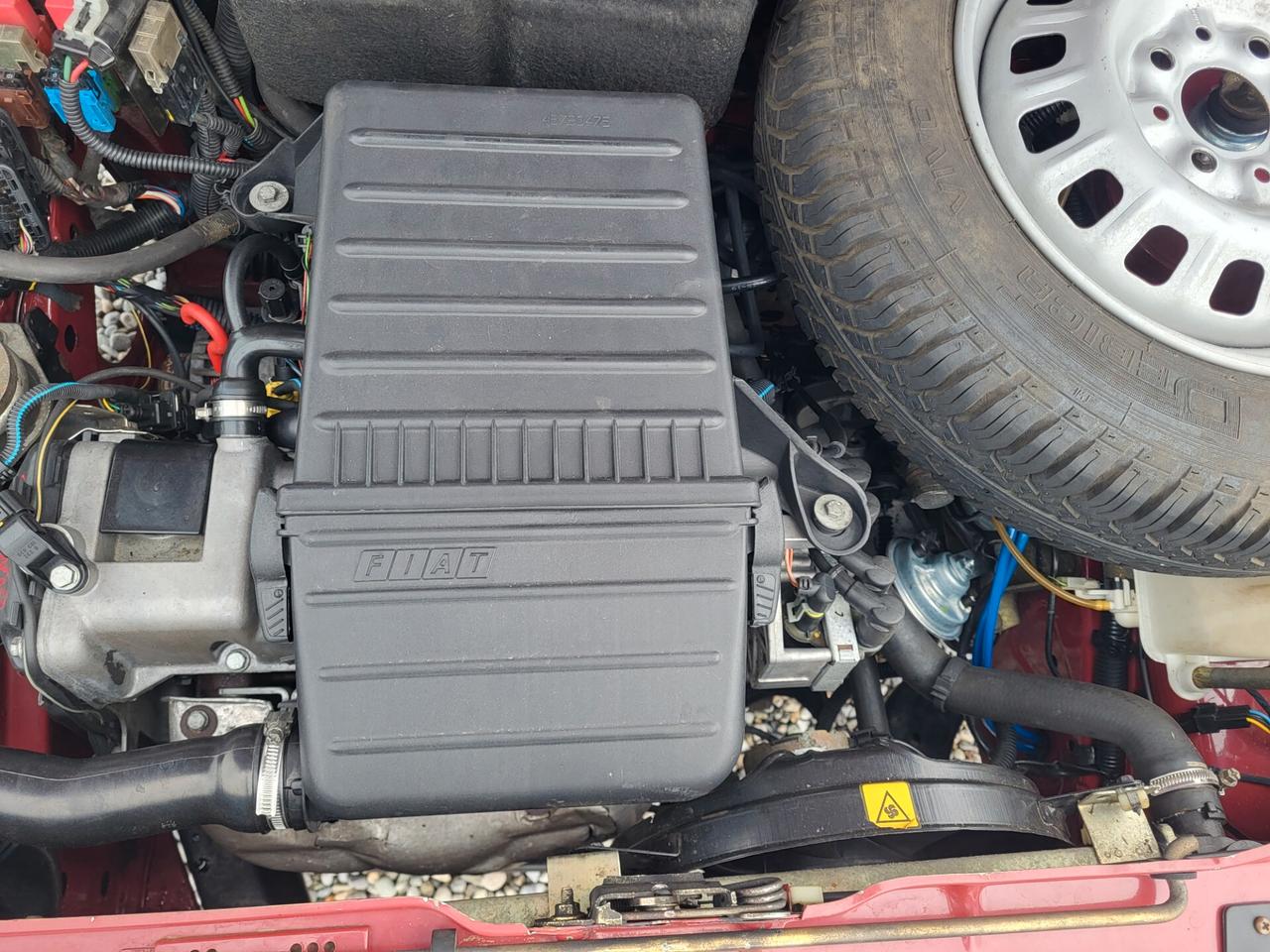 Fiat Panda 1100 i.e. cat Young ASI