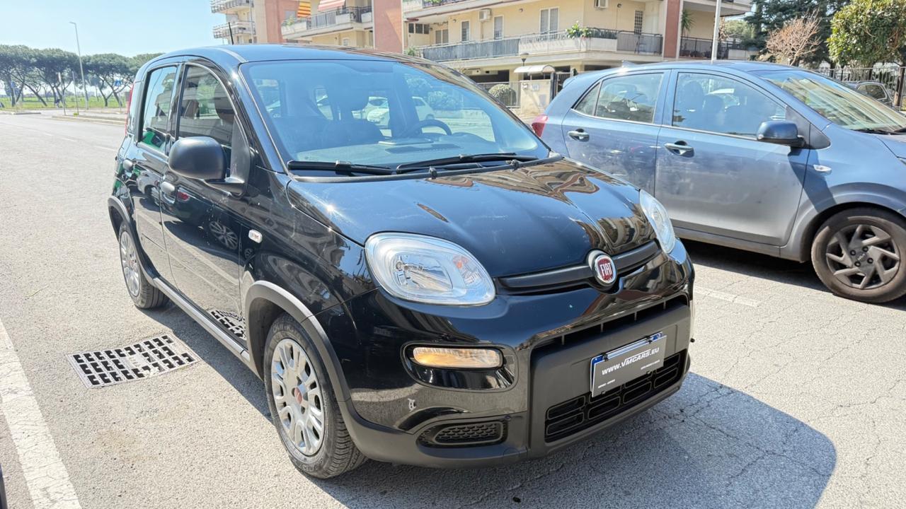 Fiat Panda 1.0 FireFly S&S Hybrid City Life LED PDC SCHERMO