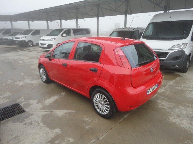 FIAT Punto Punto 1.2 8V 5 porte Street