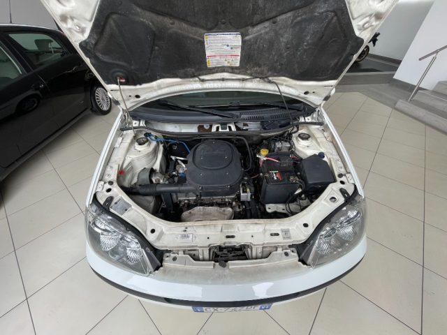 FIAT Punto 1.2 5 porte Active