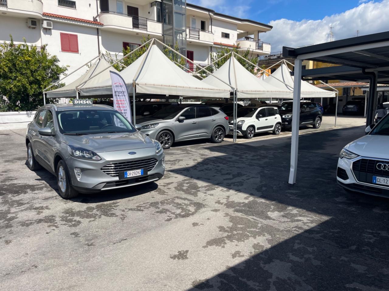 Ford Kuga 1.5 EcoBlue 120 CV aut. 2WD Titanium Business