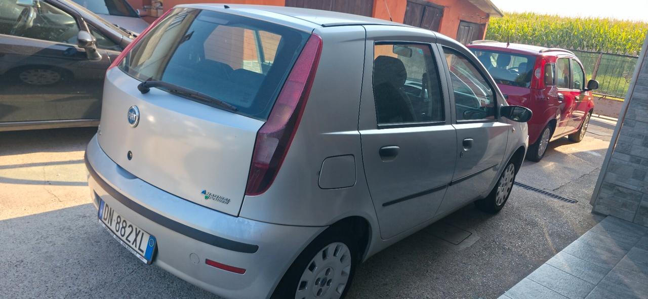 Fiat Punto Classic 1.2 5 porte Dynamic metano nuovo