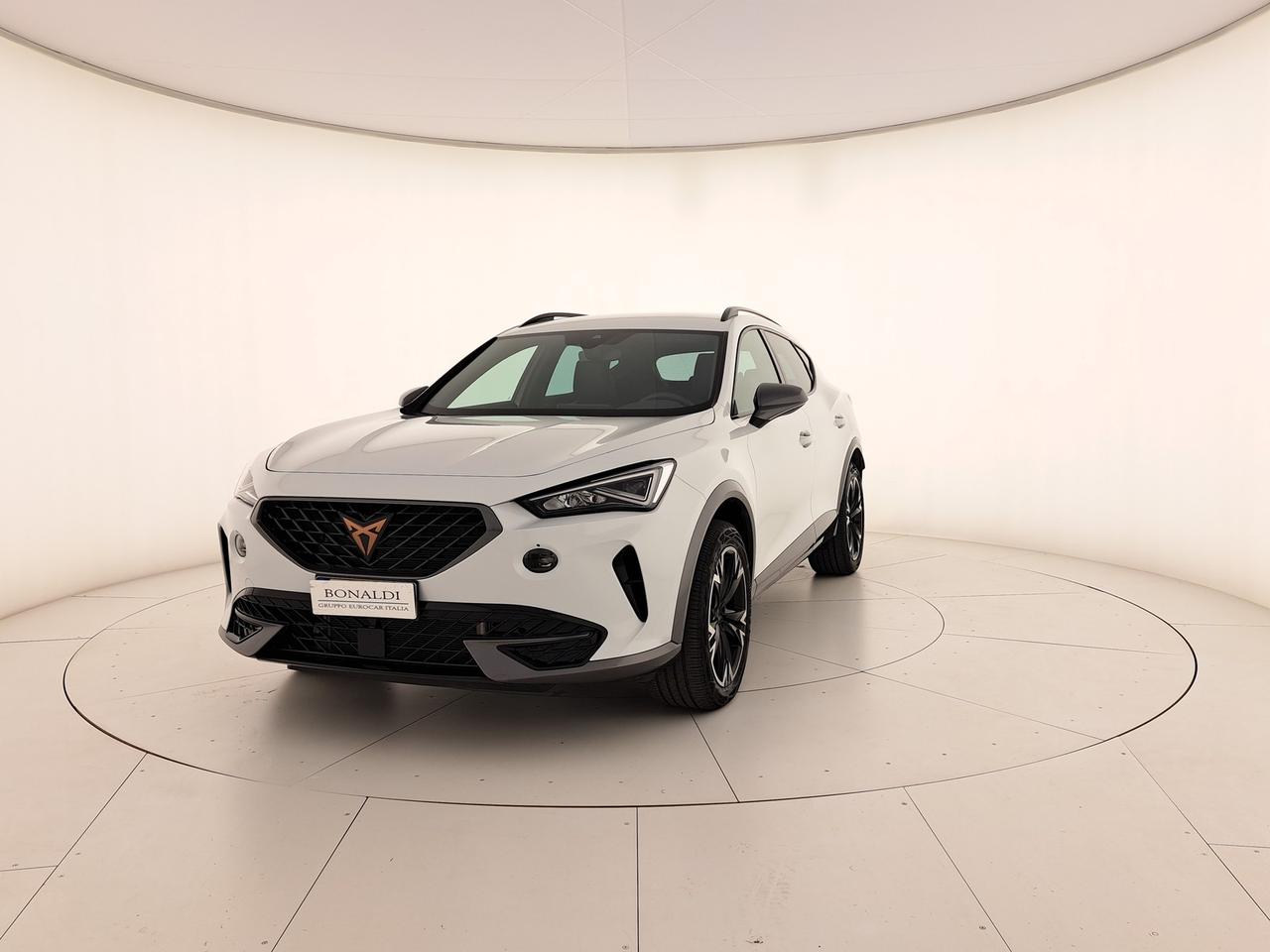 Cupra Formentor 2.0 tdi 4drive 150cv dsg