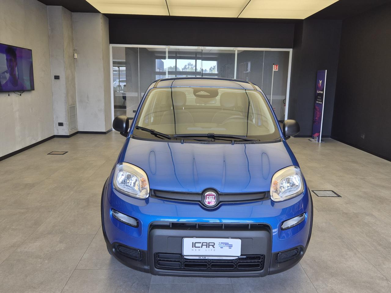 FIAT Panda III - Pandina 1.0 firefly hybrid s&s 70cv