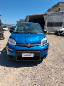 Fiat Panda 1.0 FireFly S&S Hybrid Pandina Sinistrata Incidentata