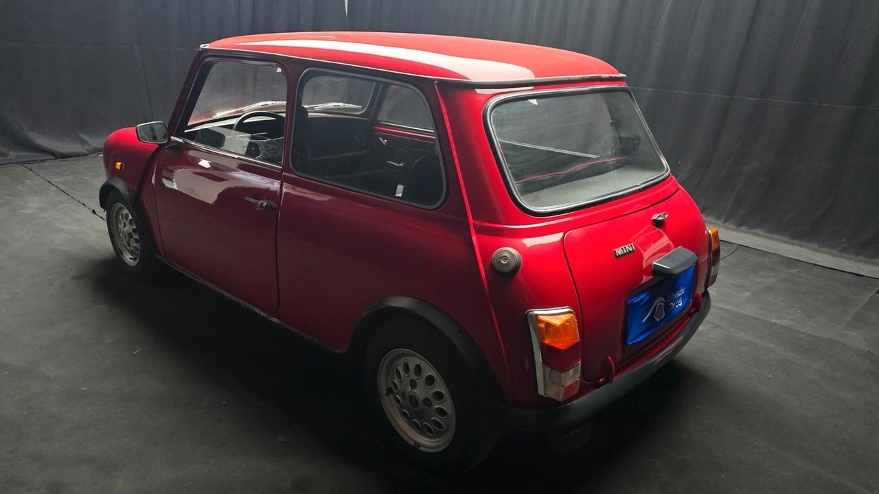 Mini 1000 HLE 1.0cc