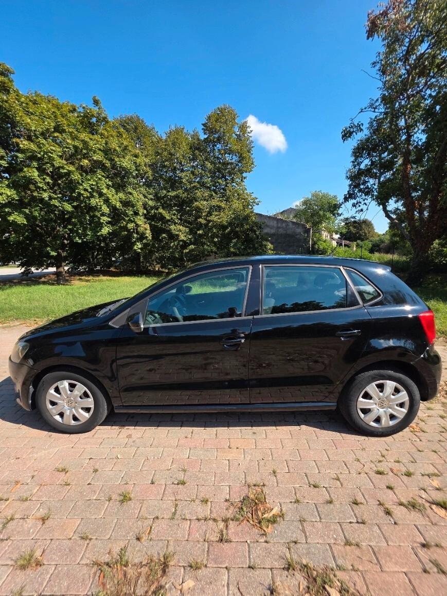 Volkswagen Polo 1.2 5 porte Trendline